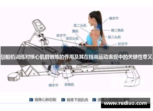 划船机训练对核心肌群锻炼的作用及其在提高运动表现中的关键性意义