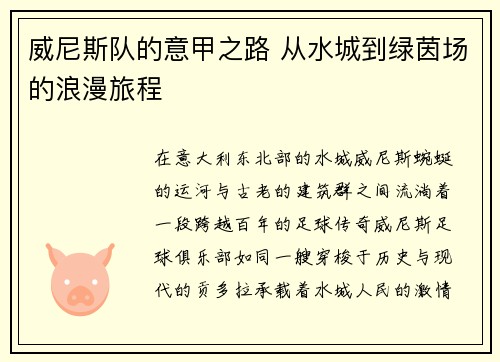 威尼斯队的意甲之路 从水城到绿茵场的浪漫旅程