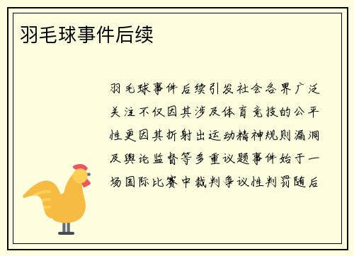 羽毛球事件后续